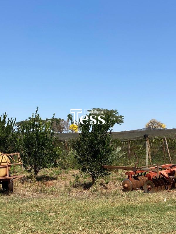 Fazenda / Sítio / Chácara à venda — foto 19 de 24