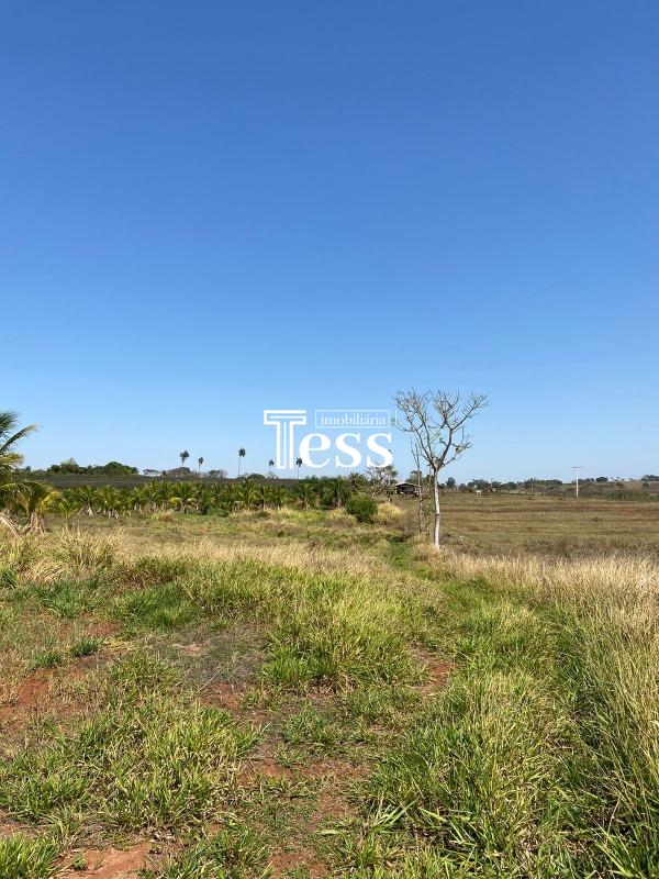 Fazenda / Sítio / Chácara à venda — foto 8 de 24