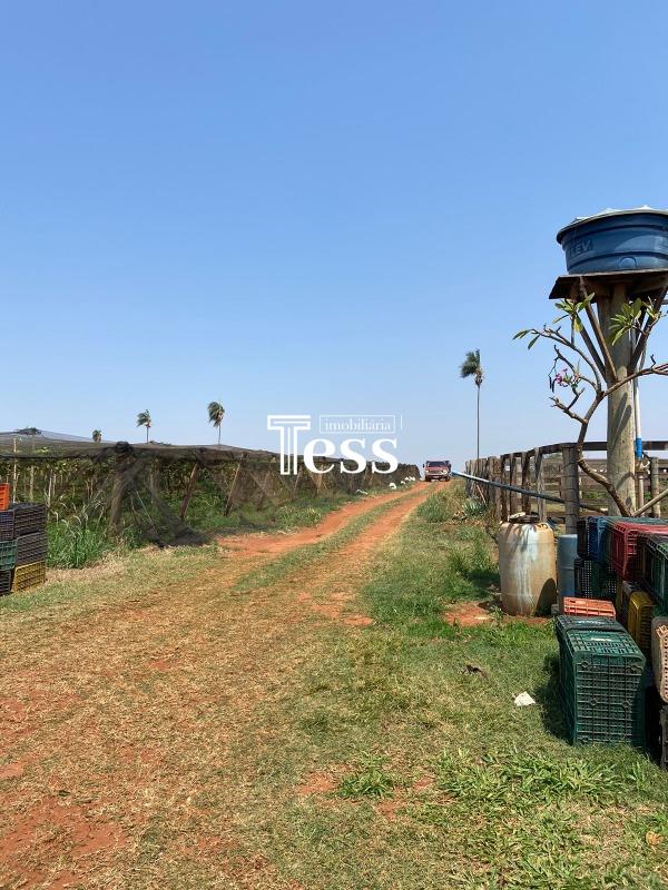 Fazenda / Sítio / Chácara à venda — foto 10 de 24