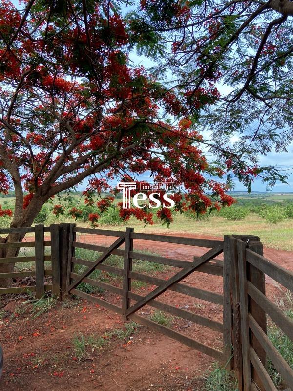 Fazenda / Sítio / Chácara à venda — foto 1 de 24
