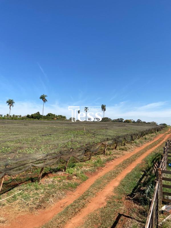 Fazenda / Sítio / Chácara à venda — foto 14 de 24
