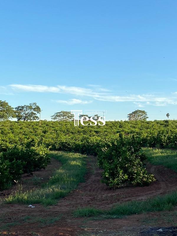 Fazenda / Sítio / Chácara à venda — foto 18 de 24