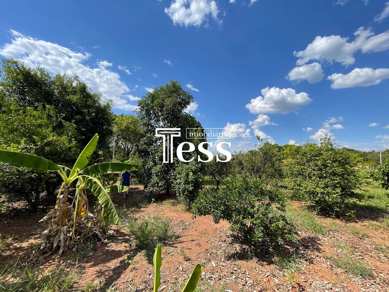 Terreno / Lote / Condomínio à venda, 3840m² — foto 6 de 8