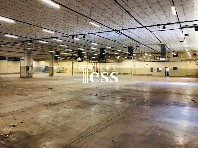 Loja / Salão / Ponto Comercial para aluguel, 3000m² — foto 10 de 15