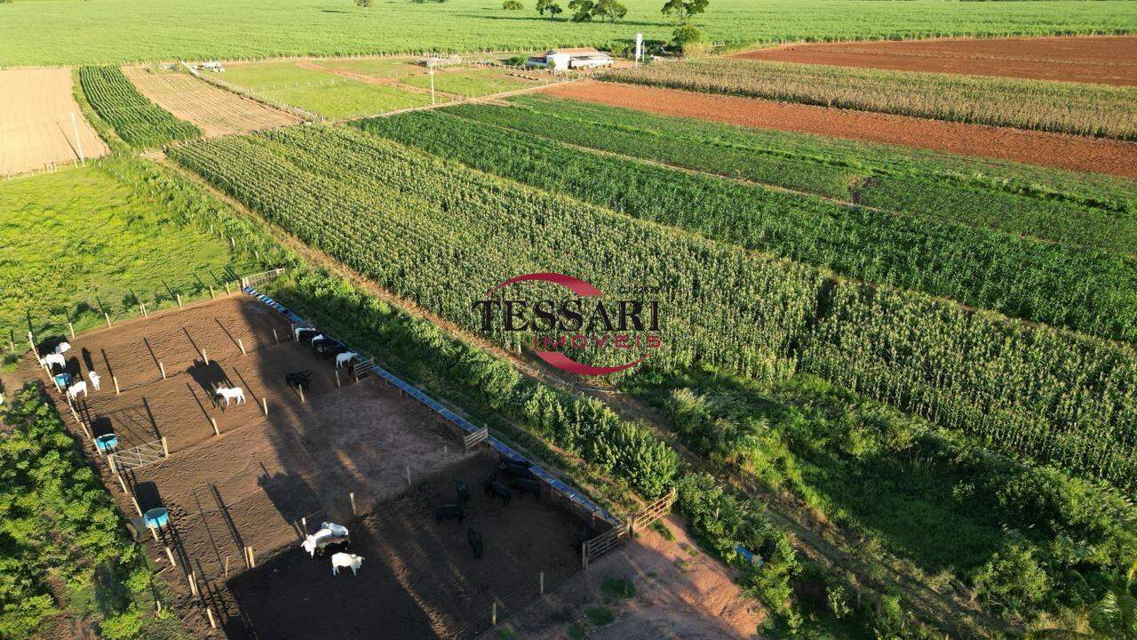 Fazenda / Sítio / Chácara com 4 quartos à venda — foto 3 de 4