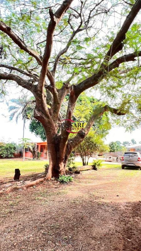 Fazenda / Sítio / Chácara com 4 quartos para aluguel, 550m² — foto 15 de 20