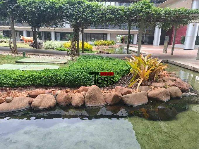 Conjunto Comercial / Sala para aluguel, 44m² — foto 15 de 15