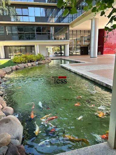 Conjunto Comercial / Sala para aluguel, 44m² — foto 12 de 15