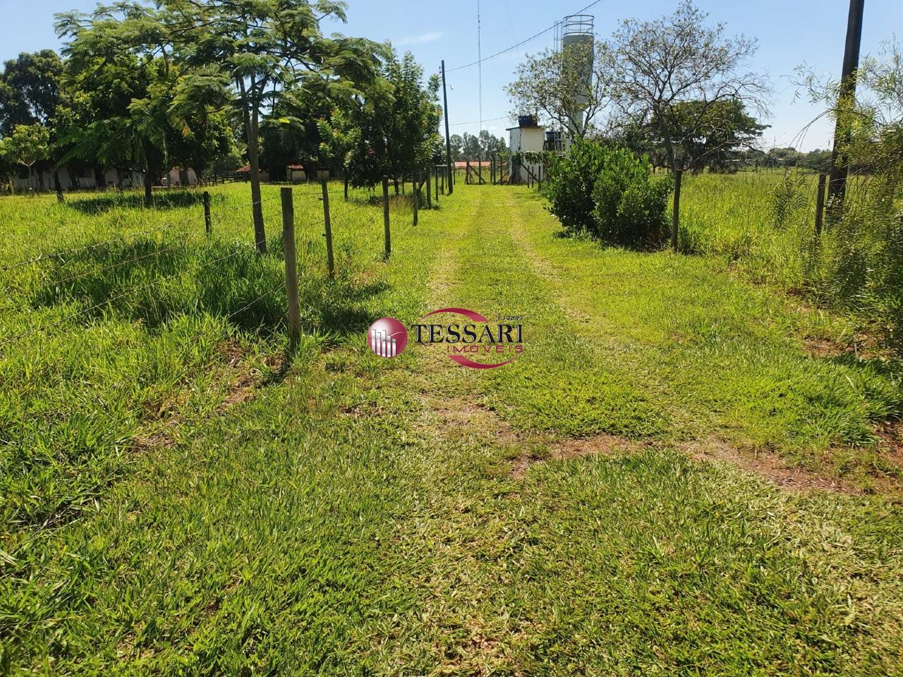 Fazenda / Sítio / Chácara com 3 quartos à venda, 400m² — foto 6 de 9
