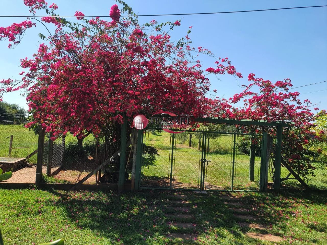 Fazenda / Sítio / Chácara com 3 quartos à venda, 400m² — foto 8 de 9