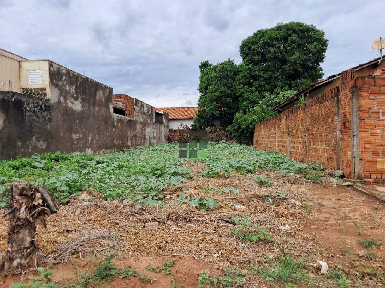 Terreno à venda no Jardim Flamboyant, em Três Lagoas: 
