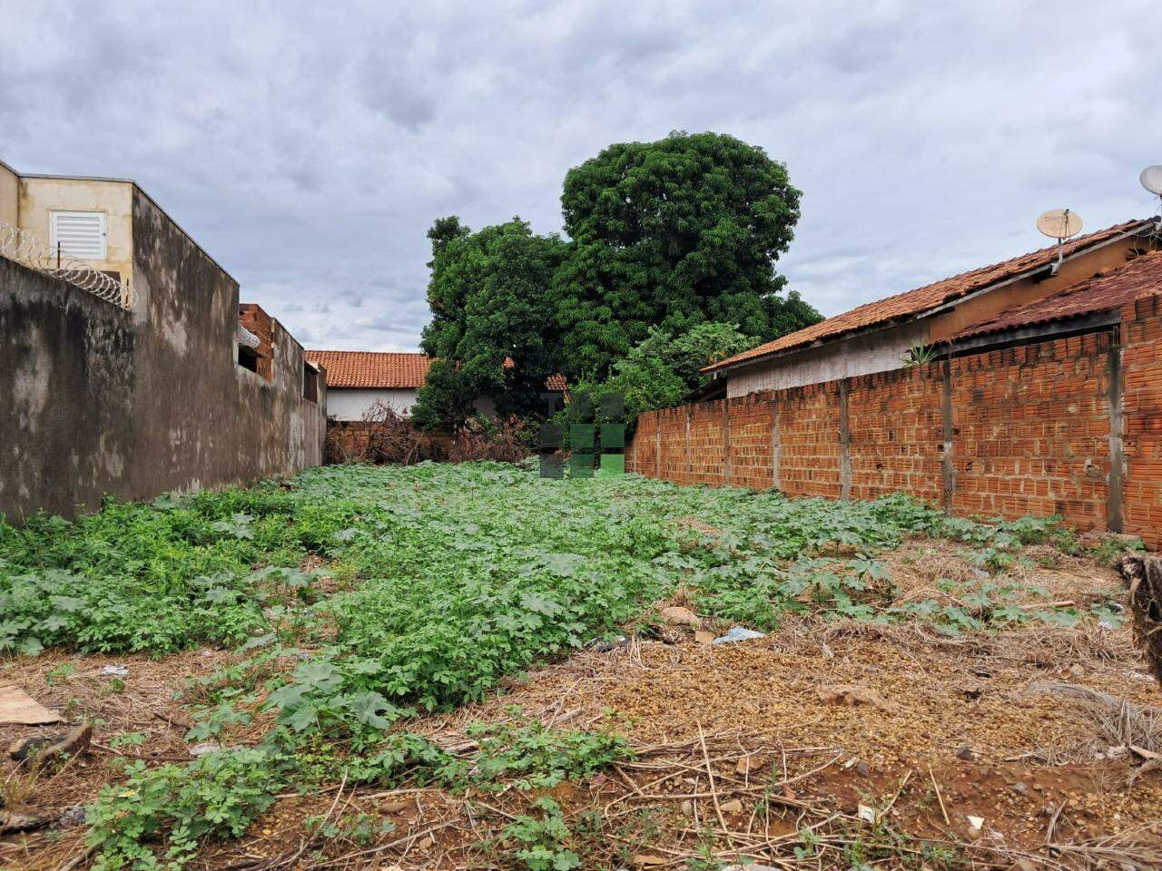 Terreno à venda no Jardim Flamboyant, em Três Lagoas: 