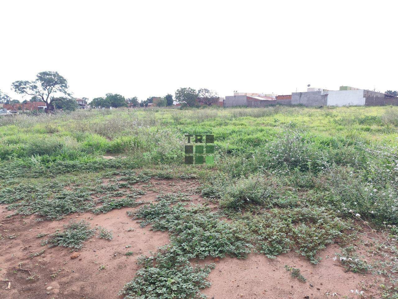 Área (Grandes terrenos) à venda no Vila Guanabara, em Três Lagoas: 
