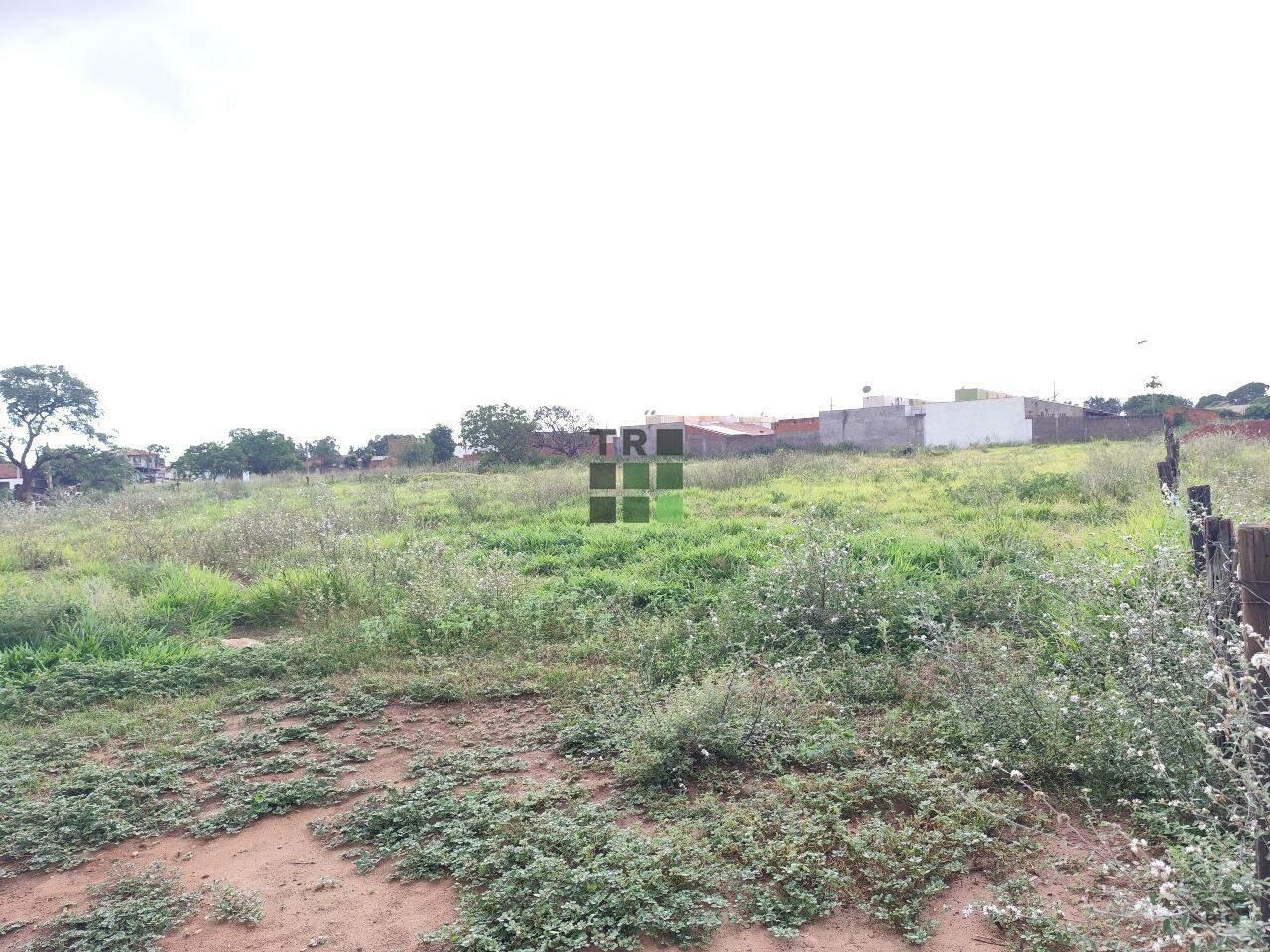 Área (Grandes terrenos) à venda no Vila Guanabara, em Três Lagoas: 