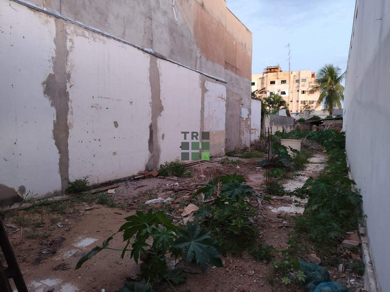 Terreno à venda no Centro, em Três Lagoas: 