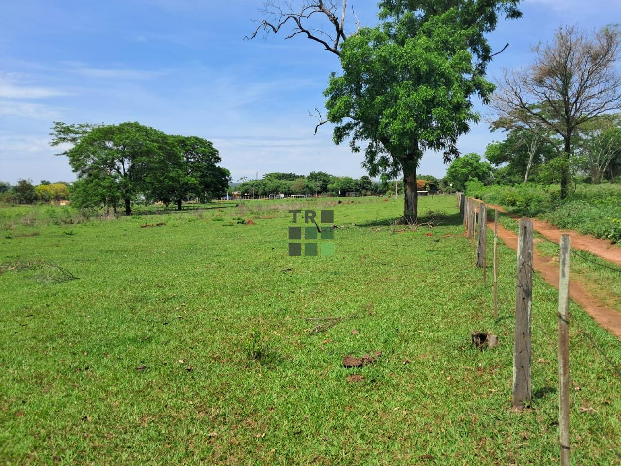 Sítio 3 quartos à venda no Área Rural de Três Lagoas, em Três Lagoas: 