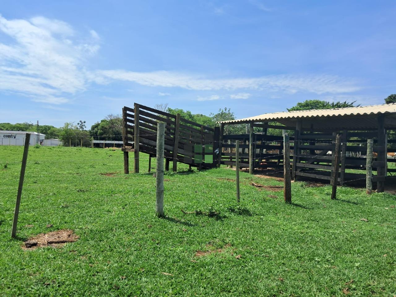 Sítio 3 quartos à venda no Área Rural de Três Lagoas, em Três Lagoas: 