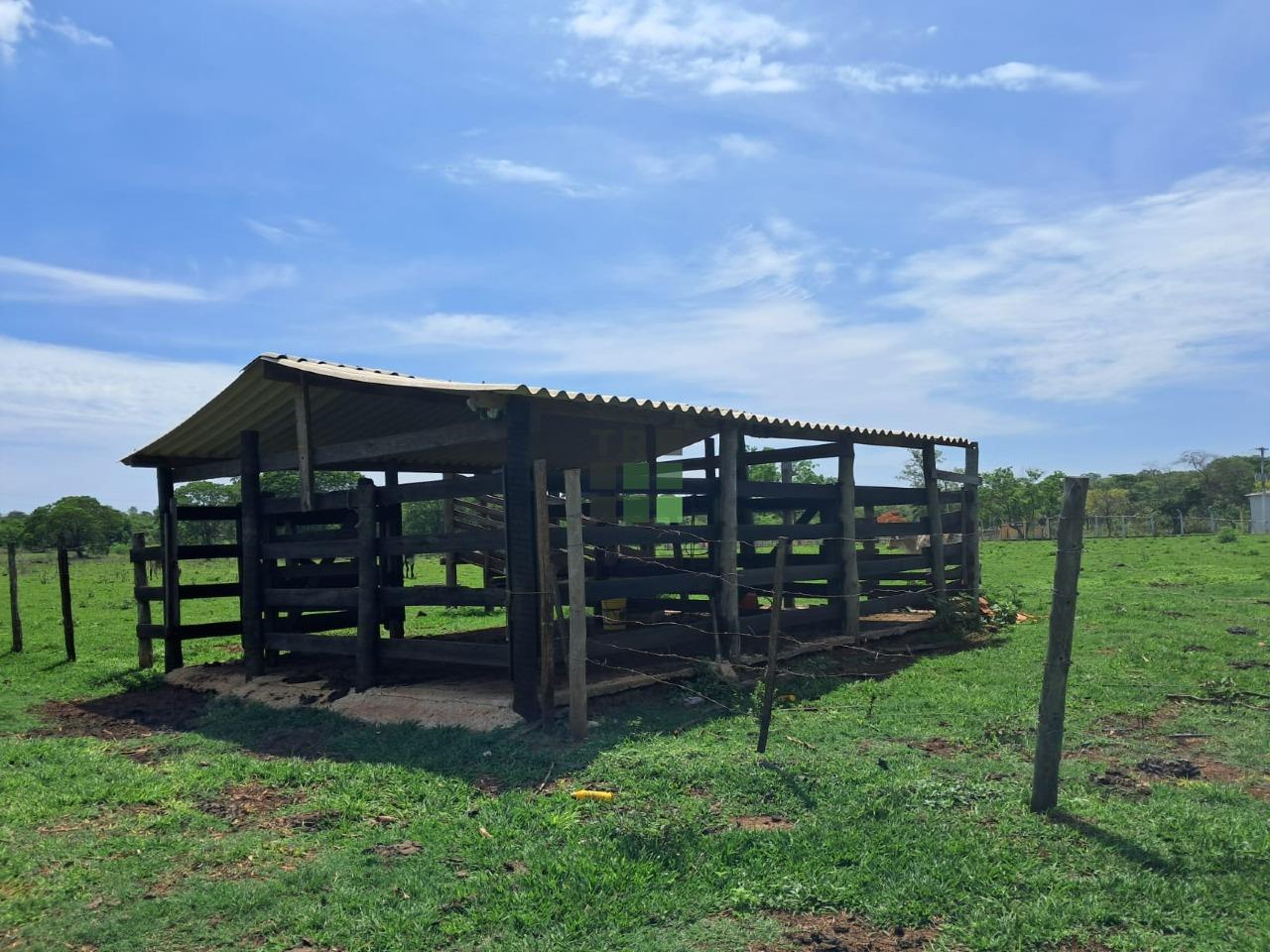 Sítio 3 quartos à venda no Área Rural de Três Lagoas, em Três Lagoas: 