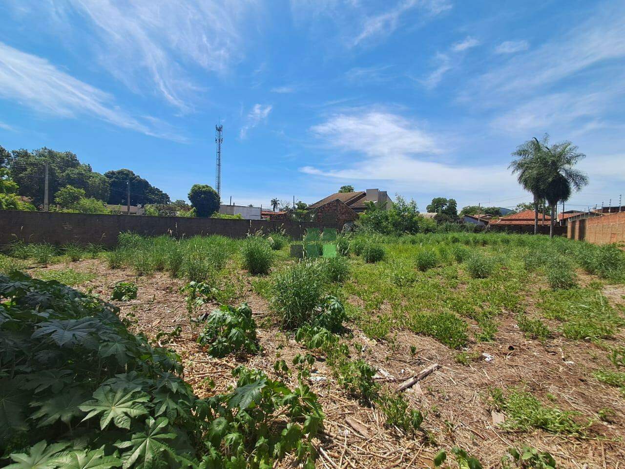 Terreno à venda no Santa Rita, em Três Lagoas: 