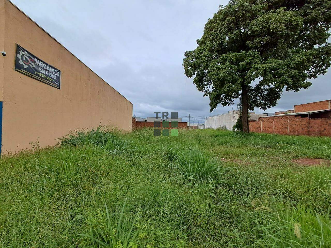 Terreno à venda no Bosque das Araras, em Três Lagoas: 