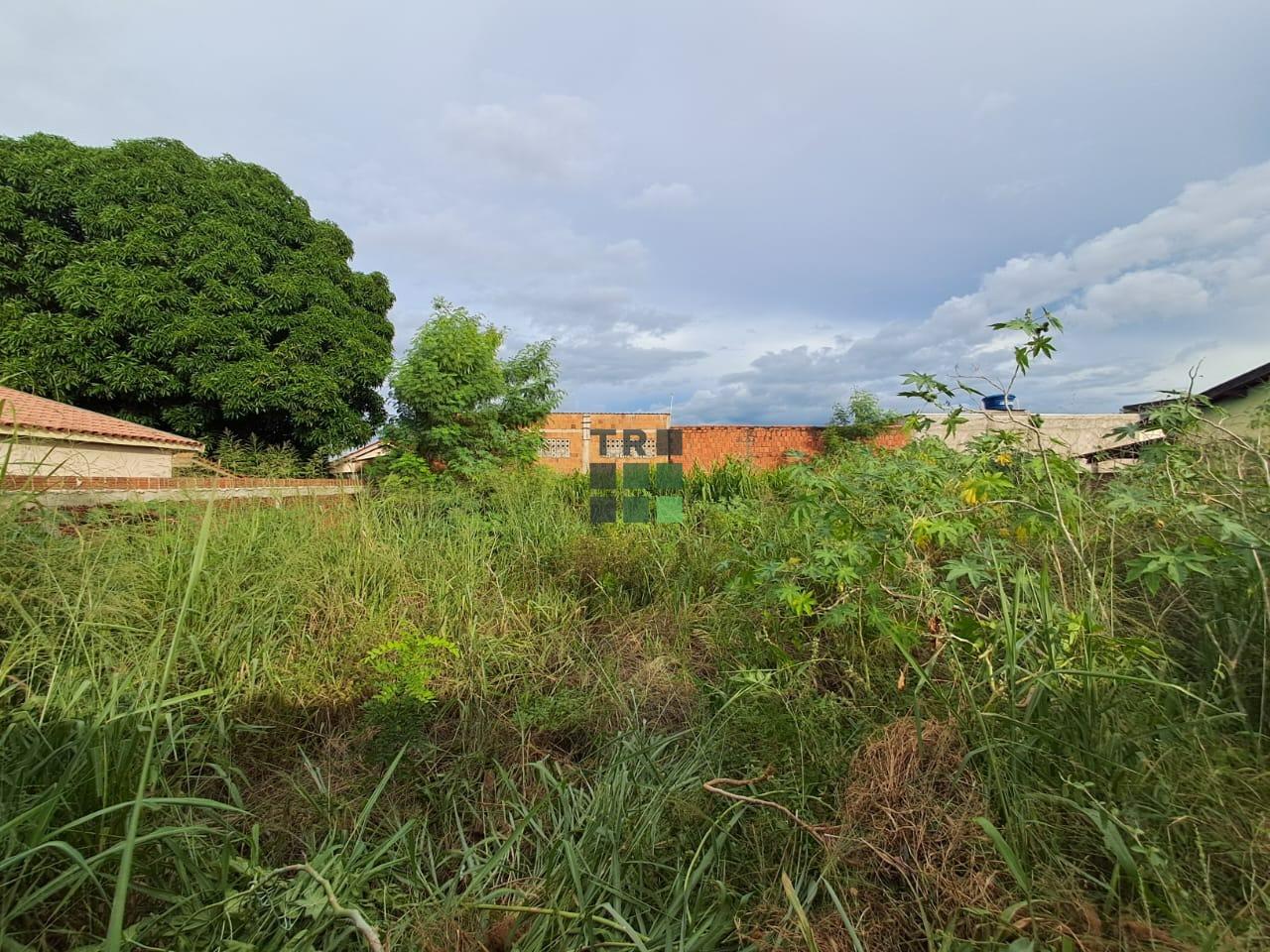 Terreno à venda no Vila Nova, em Três Lagoas: 