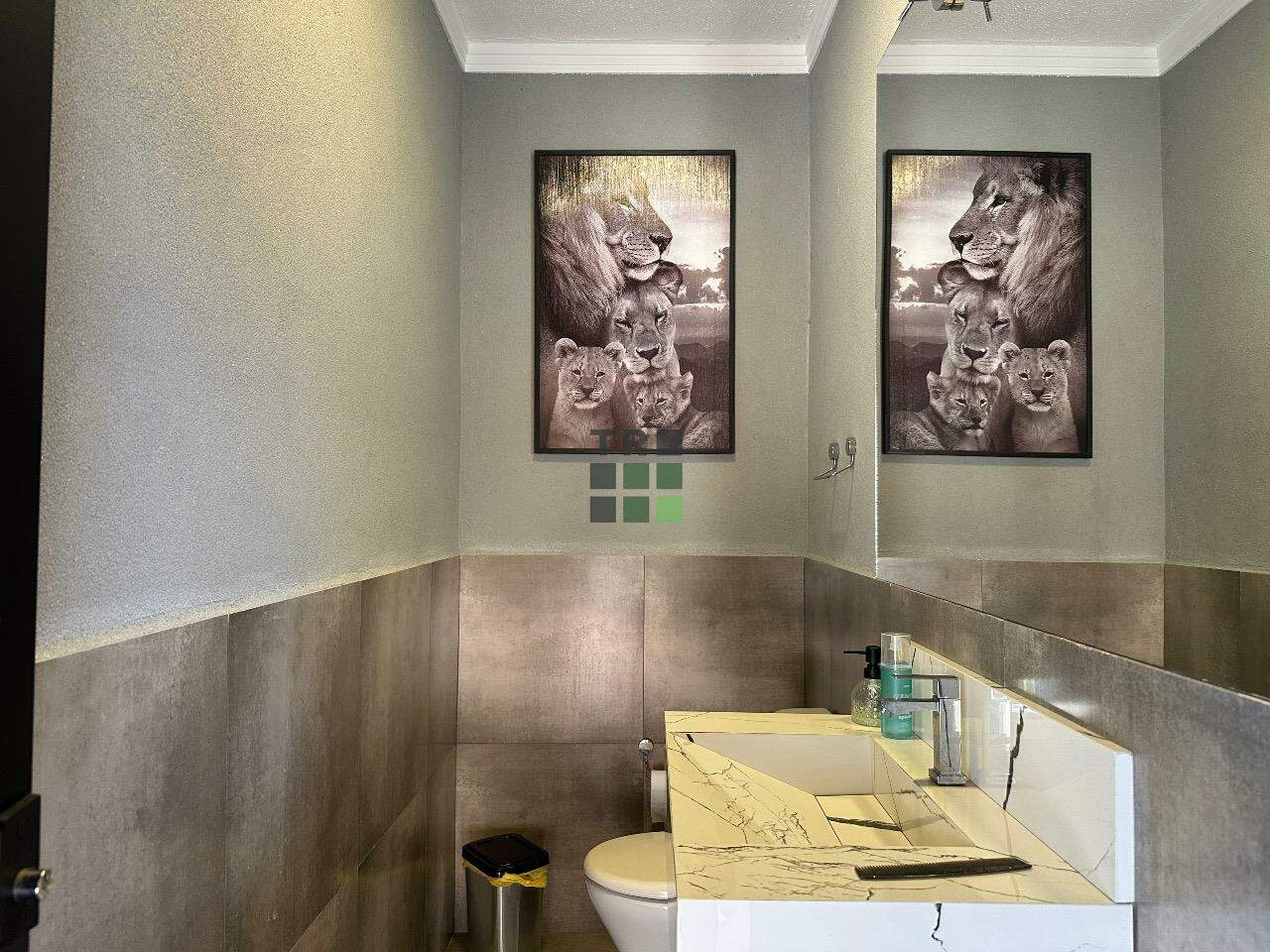 Casa em condomínio 3 quartos 1 suíte à venda no Residencial Ecoville I, em Três Lagoas: 