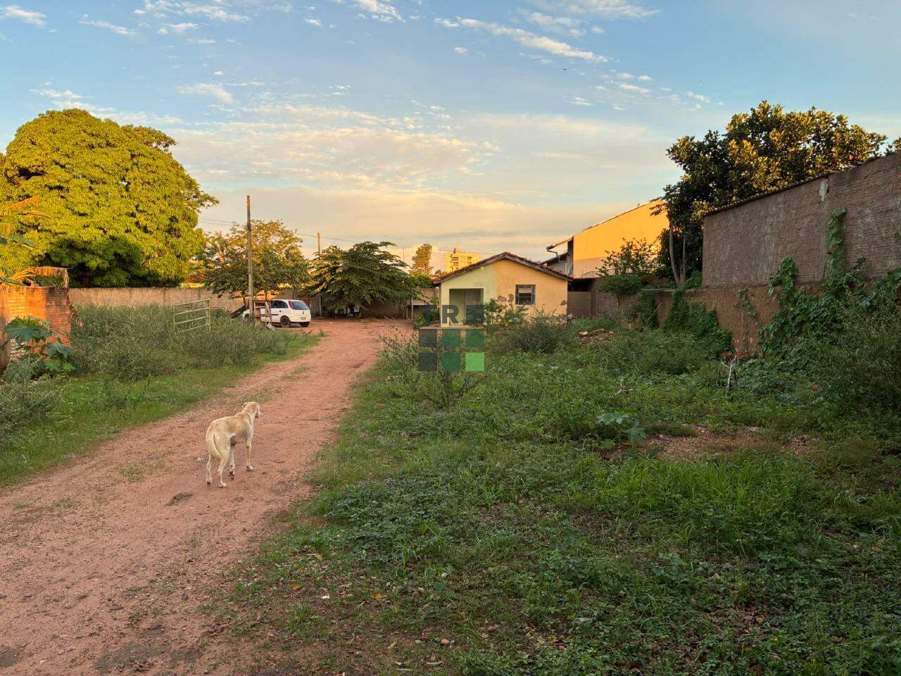 Área (Grandes terrenos) à venda no Centro, em Três Lagoas: 