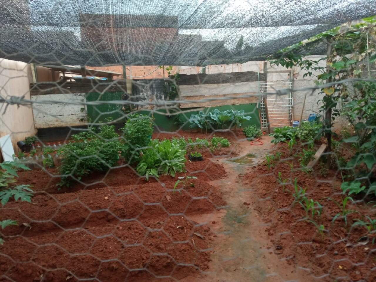 Lote à venda no Jardim Lagoa Nova: 