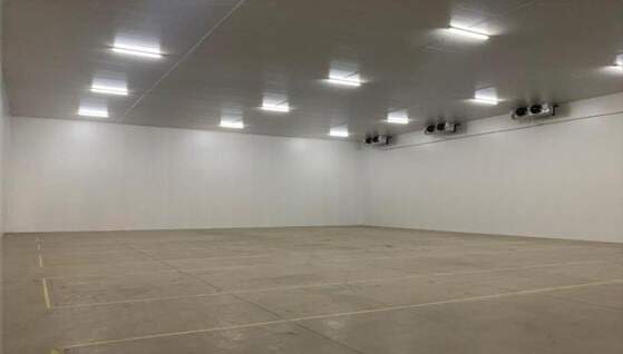 Galpão para aluguel no Jardim Campo Belo: 