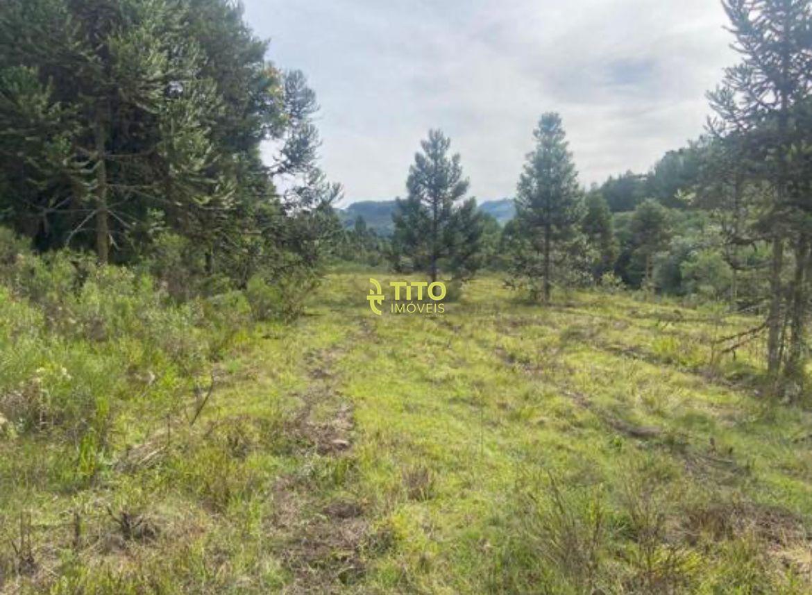 Lote à venda no Castelo Branco: 