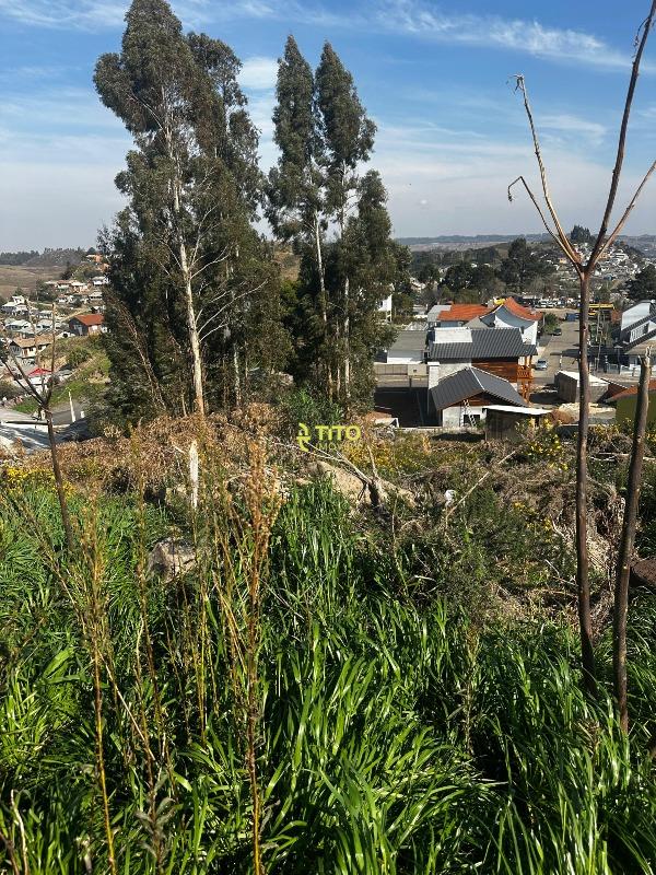 Lote à venda no Monte Carlo: 