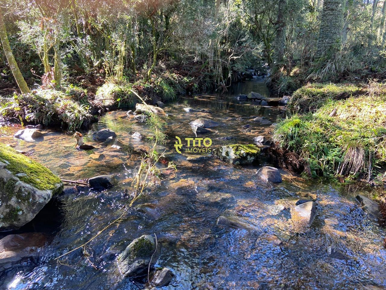 Fazenda à venda no Interior : 