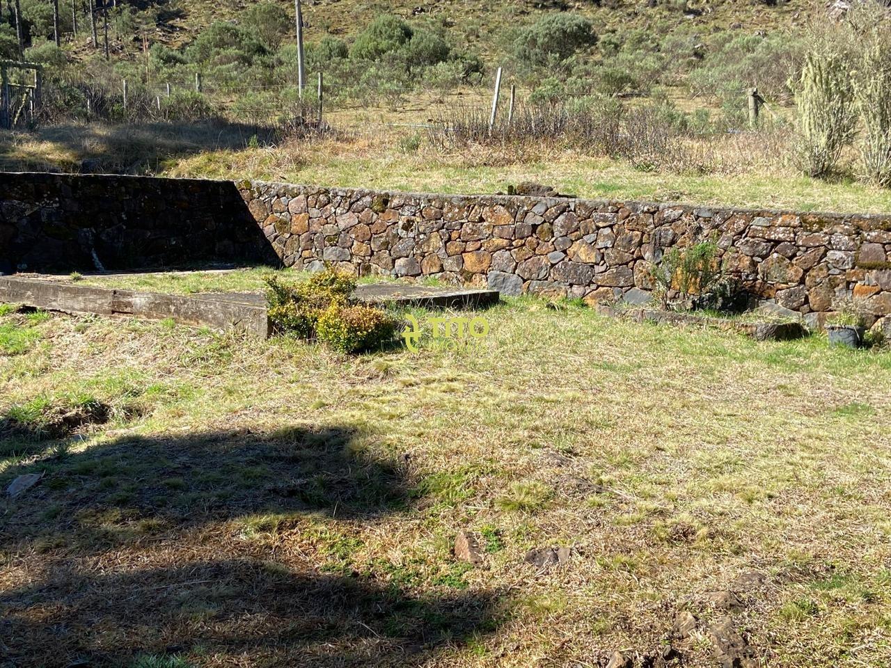 Fazenda à venda no Interior : 