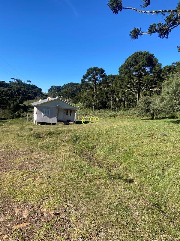 Fazenda à venda no Interior: 