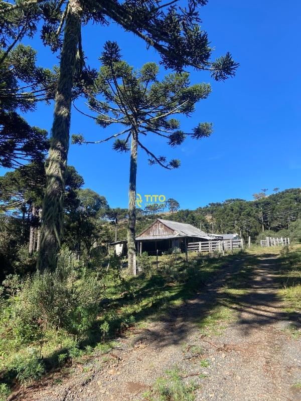 Fazenda à venda no Interior: 