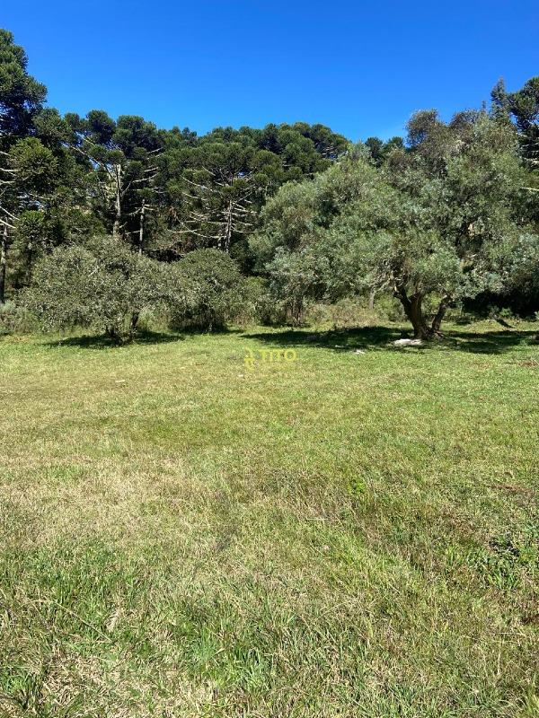 Fazenda à venda no Interior: 