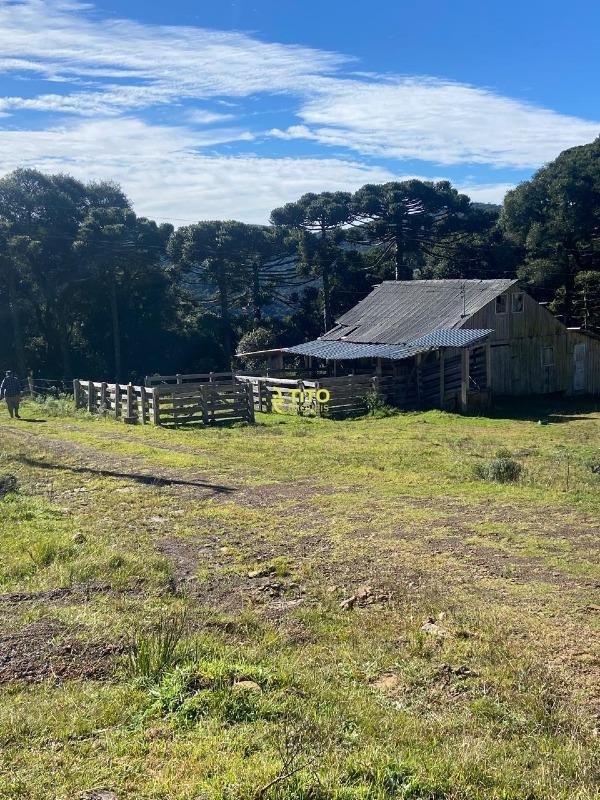 Fazenda à venda no Interior: 