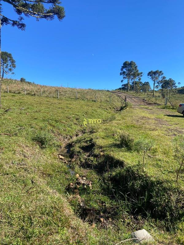Fazenda à venda no Interior: 