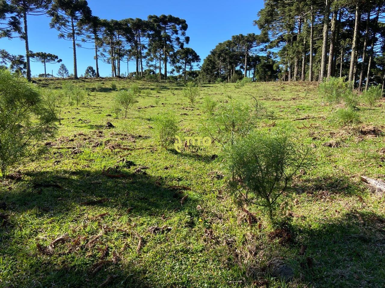 Lote à venda no Interior : 