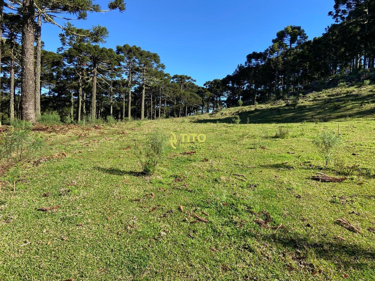 Lote à venda no Interior : 