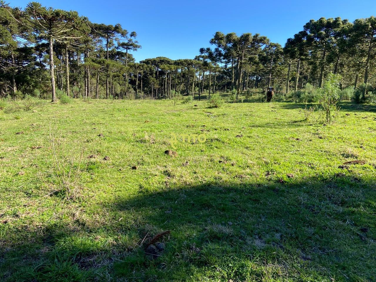 Lote à venda no Interior : 