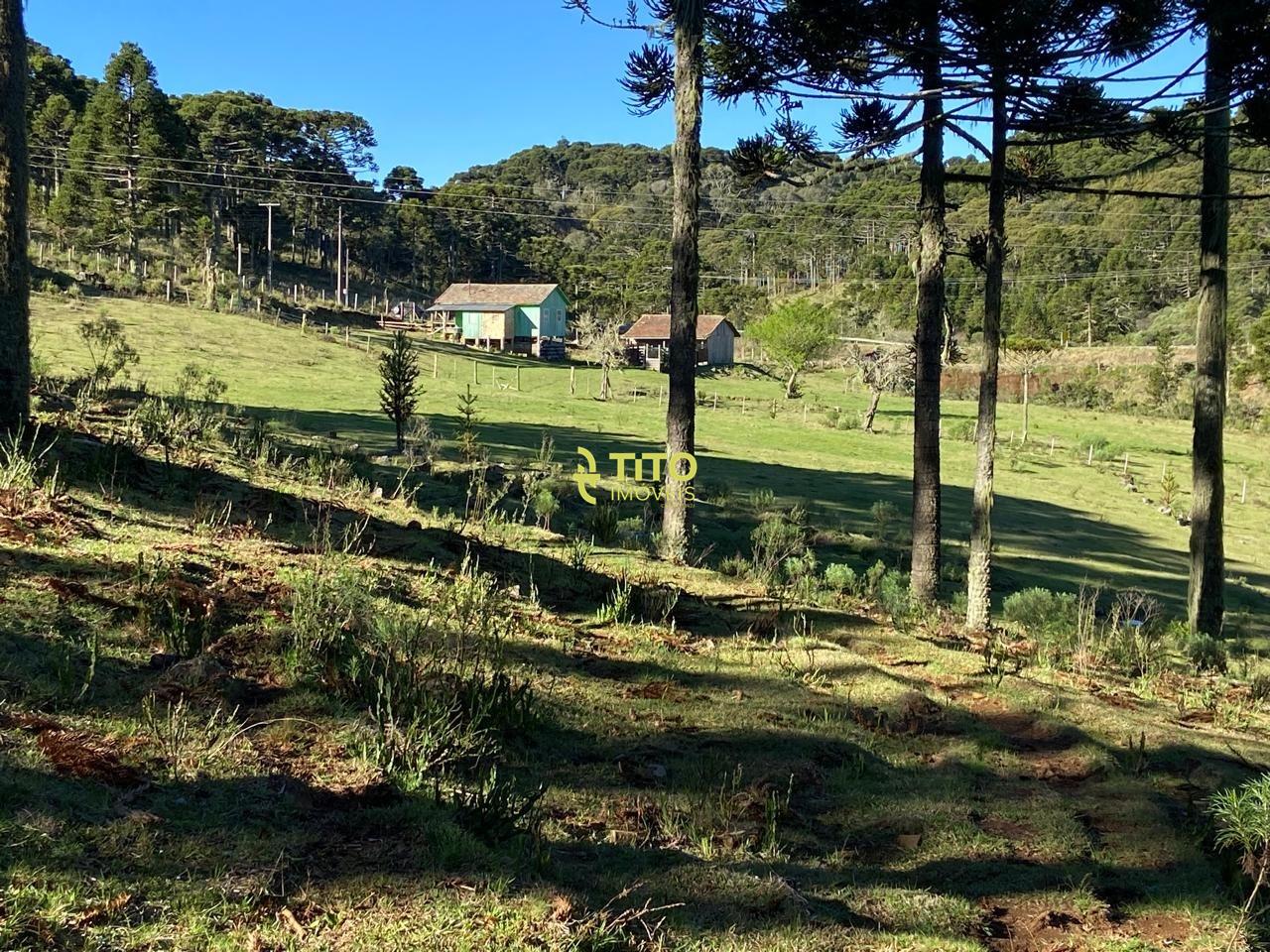 Lote à venda no Interior : 