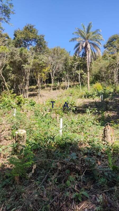 Lote em condomínio, Veredas das Geraes, Veredas das Gerais, à venda, TWA Investimentos. : 