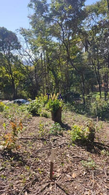 Lote em condomínio, Veredas das Geraes, Veredas das Gerais, à venda, TWA Investimentos. : 