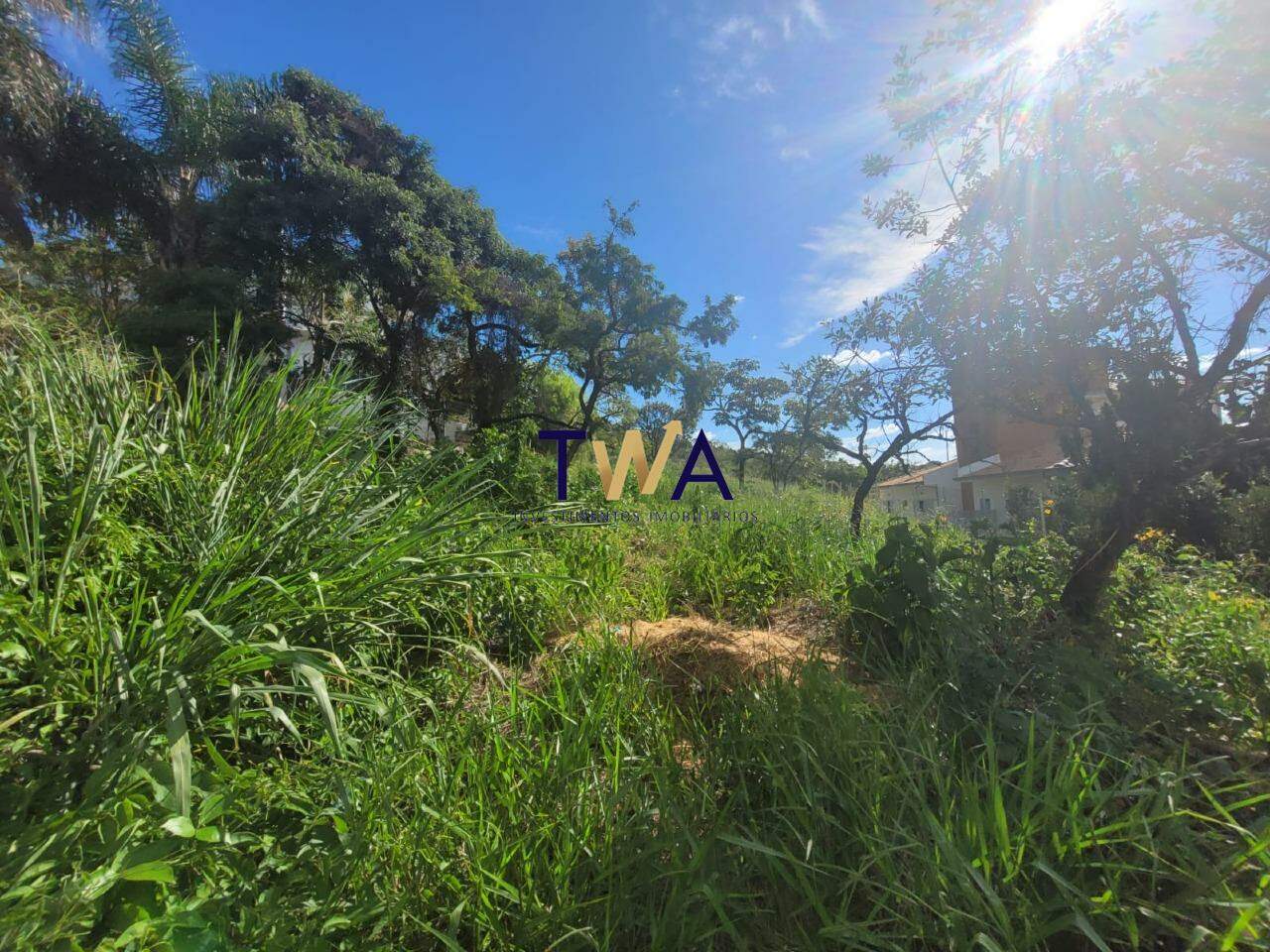 Lote, Mirante da Mata, Mirante da Mata, à venda, TWA Investimentos. : 