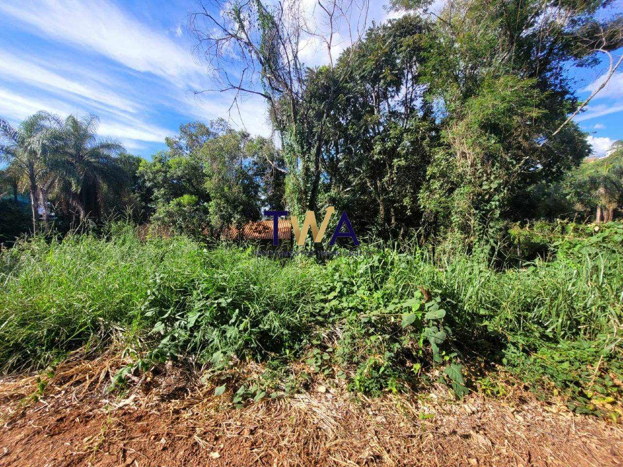 Lote em condomínio, Mirante da Mata, Mirante da Mata, à venda, TWA Investimentos. : 