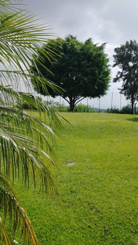 Casa, Vila Castela, Vila Castela, à venda, TWA Investimentos. : 