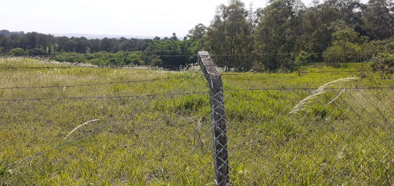 Terreno à venda no Residencial Primo: 