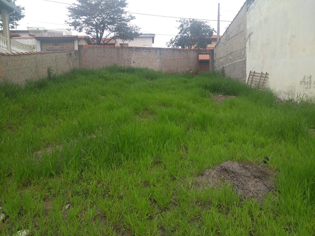 Terreno à venda no Residencial Vicente Laureano: 