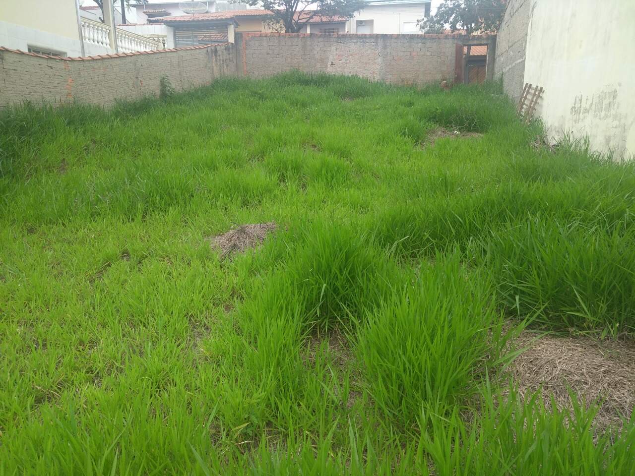 Terreno à venda no Residencial Vicente Laureano: 
